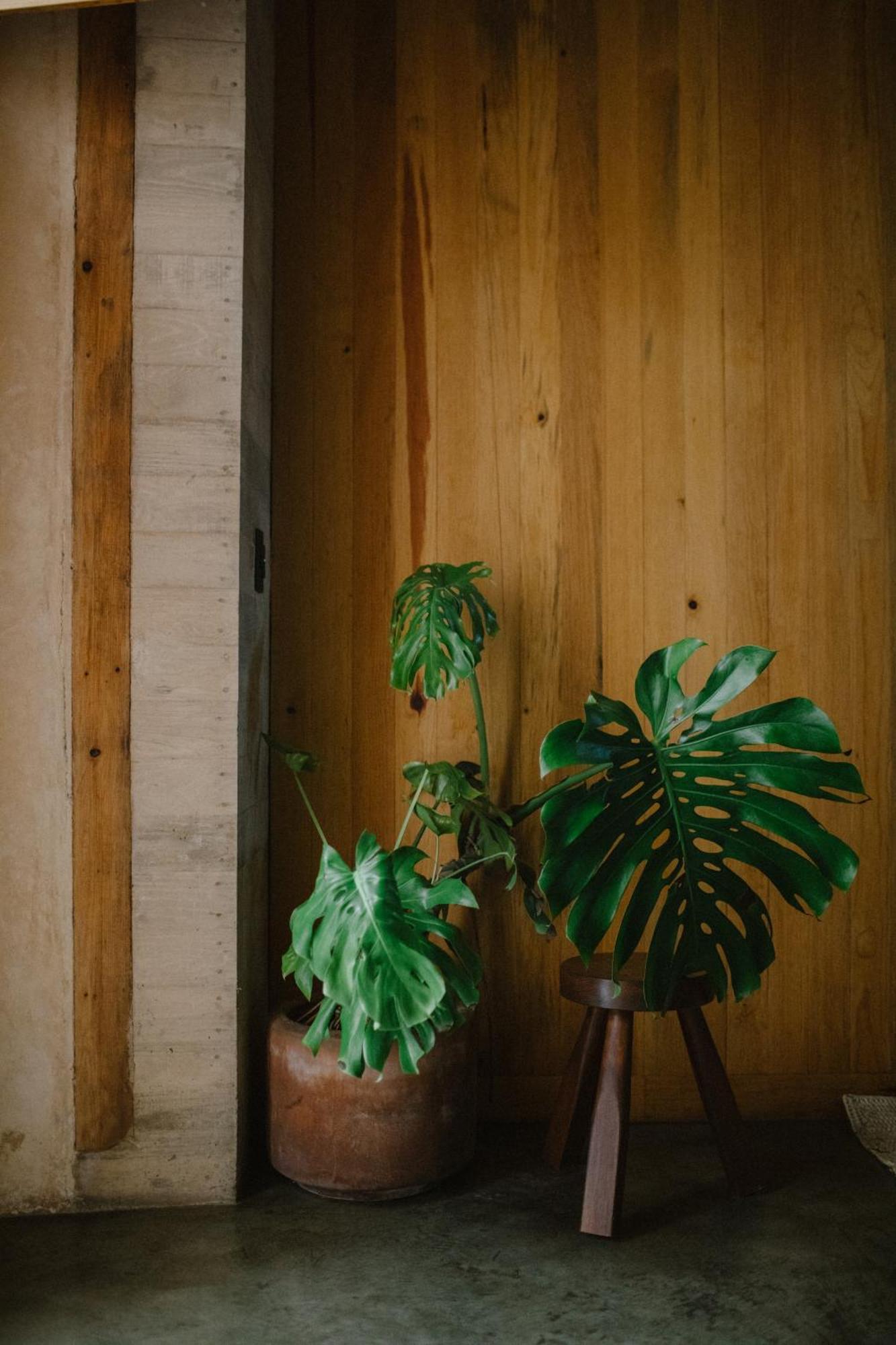 Hotel Escondido Oaxaca, A Member Of Design Hotels Ngoại thất bức ảnh